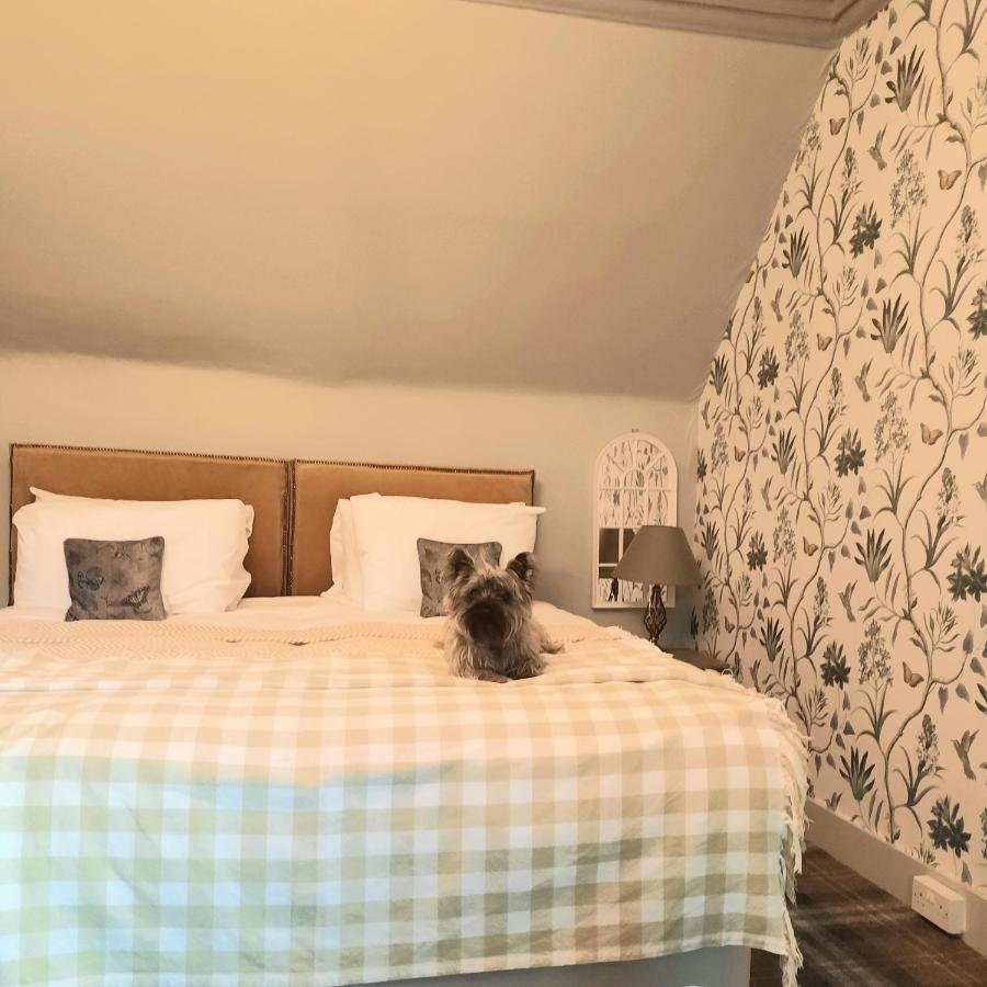 Argyle Guest House Tomintoul Dış mekan fotoğraf